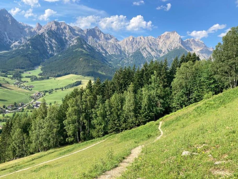 Mountain View Apartment Maria Alm am Steinernen Meer Εξωτερικό φωτογραφία