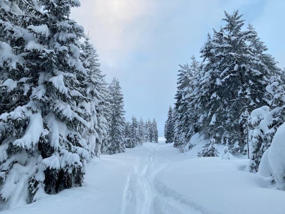 Mountain View Apartment Maria Alm am Steinernen Meer Εξωτερικό φωτογραφία